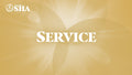 Golden Light Ball and Golden Liquid Spring for Energy, Stamina, Vitality and Immunity - TCL2 - Natalie Schöpflin